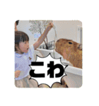バルサミコ4歳日記（個別スタンプ：25）