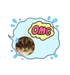 保護猫のほっこりスタンプ（個別スタンプ：9）
