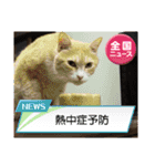 保護猫のほっこりスタンプ（個別スタンプ：15）