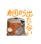 つぶここみにこ（個別スタンプ：13）