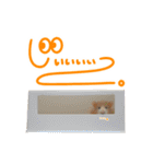 つぶここみにこ（個別スタンプ：34）