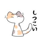 みんなの役立つ猫達（個別スタンプ：13）