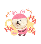 ♪Bichon Aniちゃん♪（個別スタンプ：13）