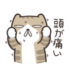 ドラドラ猫 3 (日本語)（個別スタンプ：2）