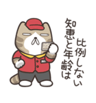ドラドラ猫 3 (日本語)（個別スタンプ：6）