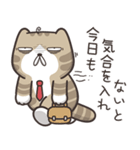 ドラドラ猫 3 (日本語)（個別スタンプ：25）