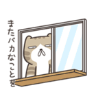 ドラドラ猫 3 (日本語)（個別スタンプ：26）