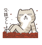 ドラドラ猫 3 (日本語)（個別スタンプ：38）