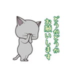 にゃんちょこりん(グレー猫)（個別スタンプ：25）
