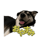 まっくすとはす（個別スタンプ：4）