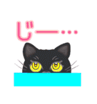 愛すべき 猫たち（個別スタンプ：7）