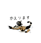 三毛猫めめ【修正版】（個別スタンプ：35）