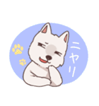 ウエスティ モグちゃん（個別スタンプ：8）