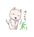 ウエスティ モグちゃん（個別スタンプ：9）