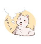 ウエスティ モグちゃん（個別スタンプ：12）