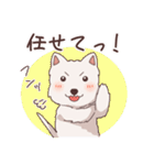 ウエスティ モグちゃん（個別スタンプ：17）