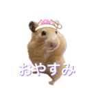 なげちゃんスタンプ（個別スタンプ：1）