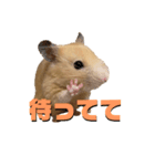 なげちゃんスタンプ（個別スタンプ：3）