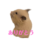 なげちゃんスタンプ（個別スタンプ：6）