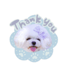 【修正版】アネミルスタンプ（個別スタンプ：2）