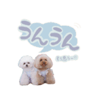 【修正版】アネミルスタンプ（個別スタンプ：7）