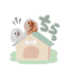 【修正版】アネミルスタンプ（個別スタンプ：22）