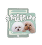【修正版】アネミルスタンプ（個別スタンプ：24）