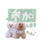 【修正版】アネミルスタンプ（個別スタンプ：28）
