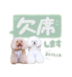 【修正版】アネミルスタンプ（個別スタンプ：29）