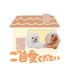 【修正版】アネミルスタンプ（個別スタンプ：31）