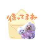 【修正版】アネミルスタンプ（個別スタンプ：32）