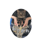 うるめです（個別スタンプ：2）