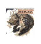 うるめです（個別スタンプ：5）