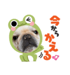 おんわかレオンさん（個別スタンプ：3）