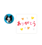 チワワと家族連絡用②（個別スタンプ：23）