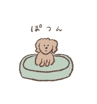 愛犬かれん2（個別スタンプ：19）