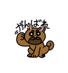 柴犬テツLINEすたんぷvol.3（個別スタンプ：10）