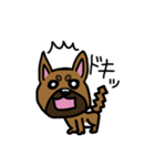 柴犬テツLINEすたんぷvol.3（個別スタンプ：13）