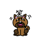 柴犬テツLINEすたんぷvol.3（個別スタンプ：15）