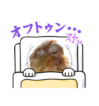 ウロコインコのうり＆える（個別スタンプ：24）