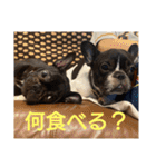 プタウタモガ 2（個別スタンプ：1）