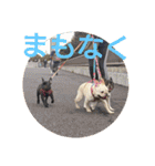 プタウタモガ 2（個別スタンプ：2）