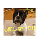 プタウタモガ 2（個別スタンプ：6）