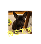 プタウタモガ 2（個別スタンプ：7）