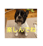 プタウタモガ 2（個別スタンプ：11）