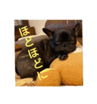 プタウタモガ 2（個別スタンプ：12）