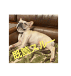 プタウタモガ 2（個別スタンプ：13）
