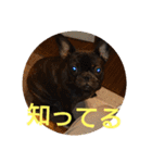 プタウタモガ 2（個別スタンプ：23）