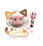 チワワと3匹の子豚（個別スタンプ：12）