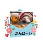 チワワと3匹の子豚（個別スタンプ：13）